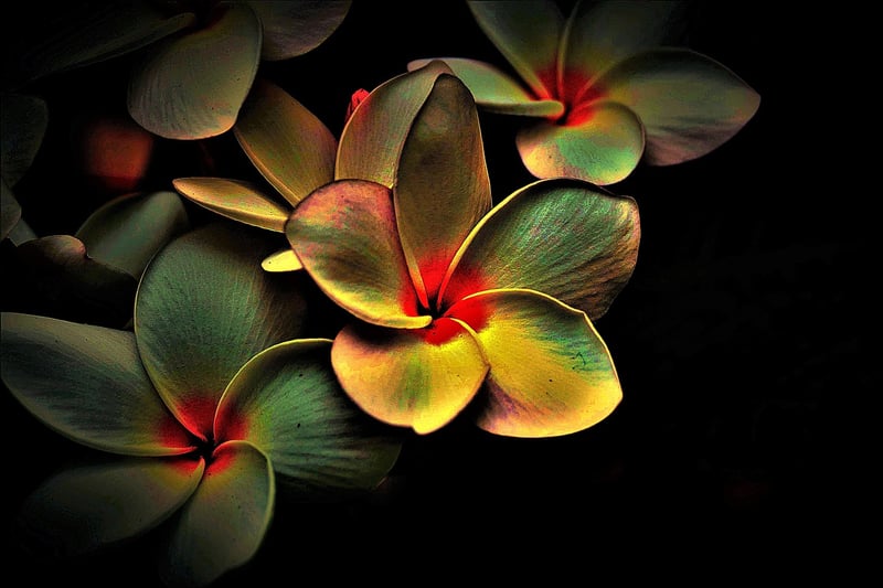 Breathwork Image